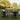 ADIRONDACK CHAIRS