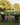 ADIRONDACK CHAIRS